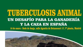 Jornada