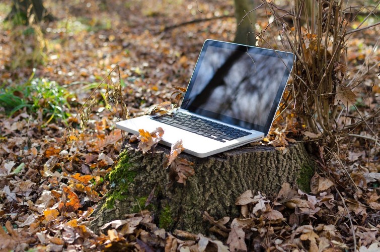 Crédito de la imagen: Pixabay